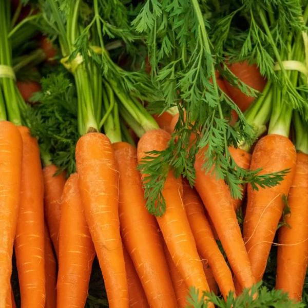 Carrots
