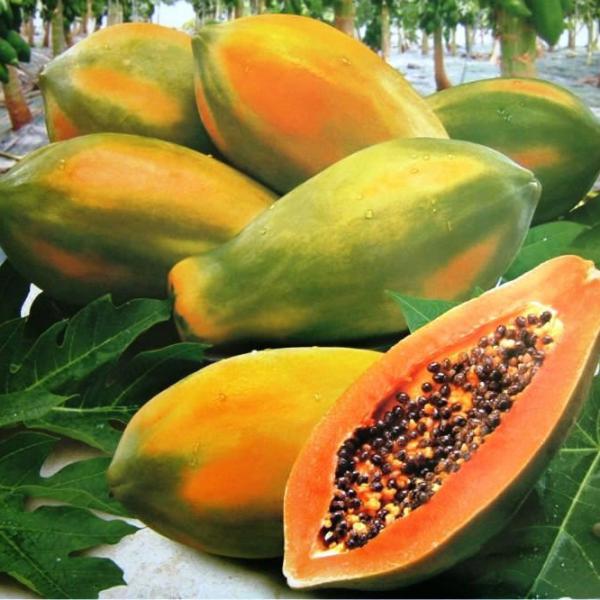 Pawpaw
